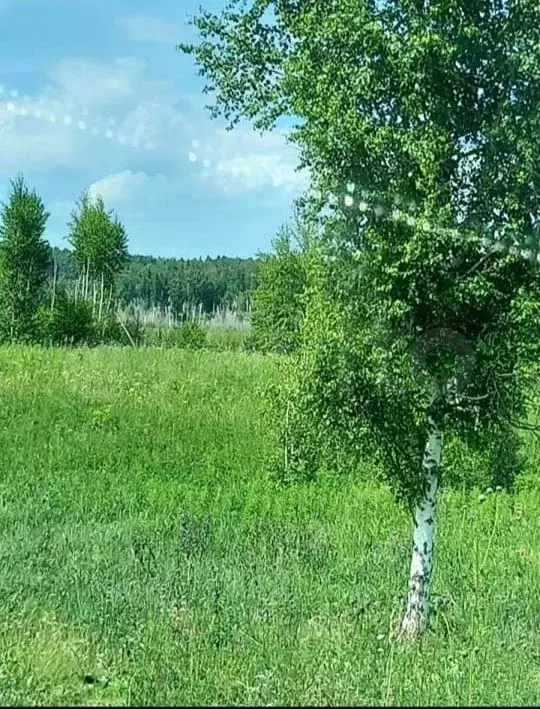 Участок 10 сот. (СНТ, ДНП) - Фото 1