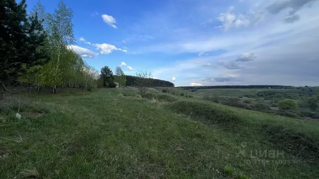 Участок в Тамбовская область, Тамбовский муниципальный округ, Липовица ... - Фото 2