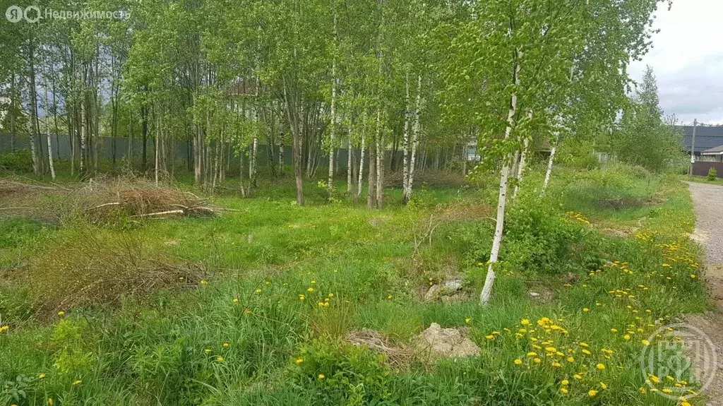 Участок в деревня Шепелёво, улица Ветеранов (15 м) - Фото 0