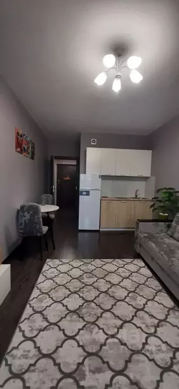 Студия Санкт-Петербург просп. Ветеранов, 181 (24.1 м) - Фото 2