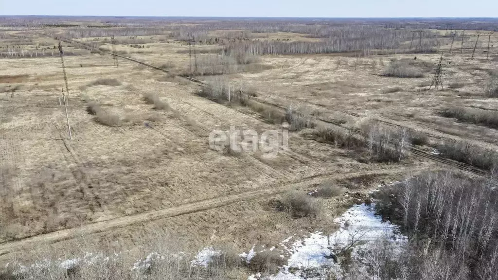 Участок в Тюменская область, Тюменский район, с. Борки Советская ул. ... - Фото 0