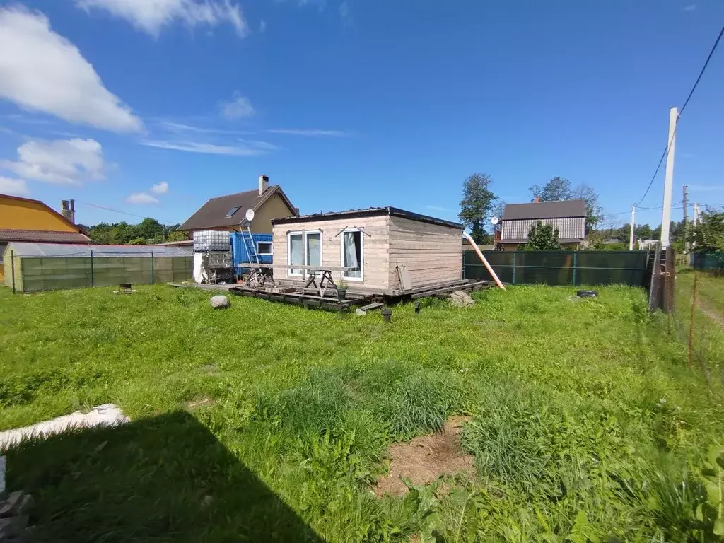 Участок в Калининградская область, Светлогорск Радуга СНТ, 6-я линия ... - Фото 2