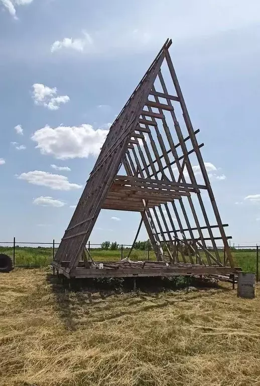 Участок в Оренбургская область, Бузулукский район, Палимовский ... - Фото 2