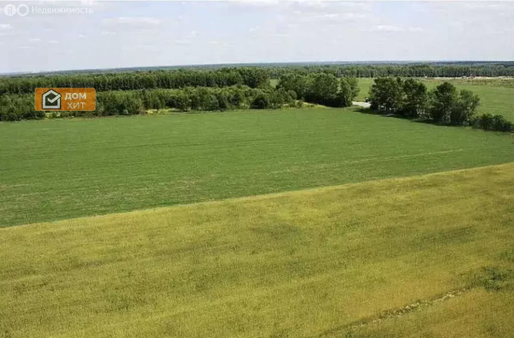 Участок в Ленинский район, село Луговое (794 м) - Фото 2