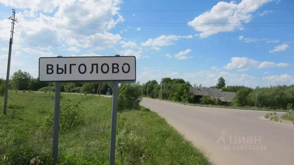 Участок в Ивановская область, Приволжский район, Плесское городское ... - Фото 0