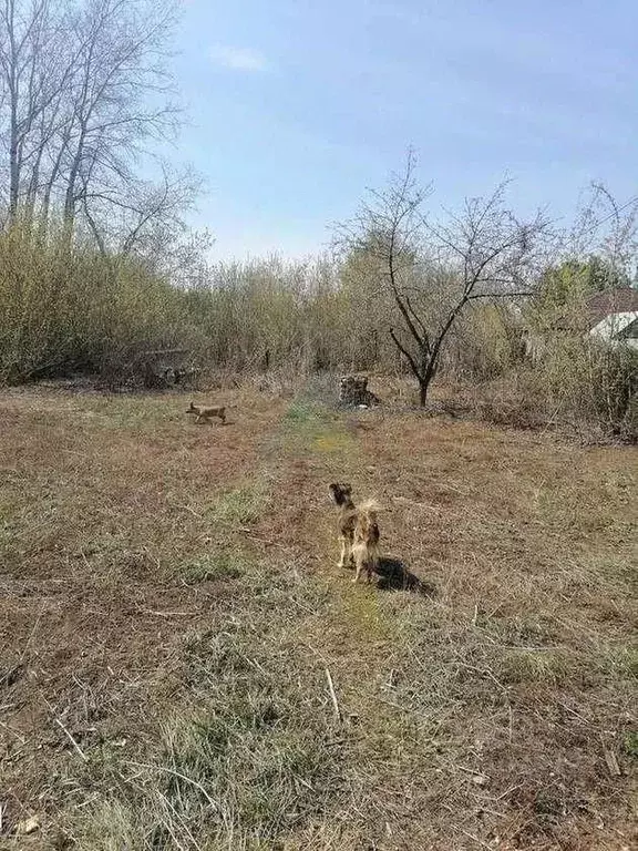 Участок в Оренбургская область, Оренбург Газовик СНТ, ул. Набережная ... - Фото 0