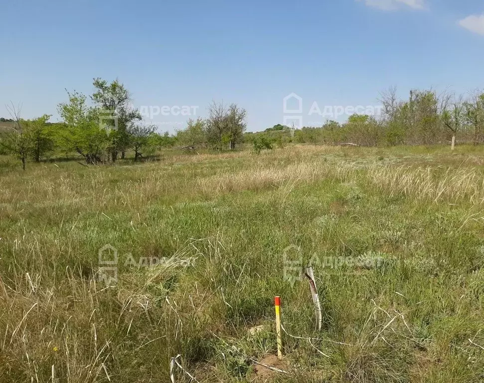 Участок в Волгоградская область, Городищенский район, Царицынское ... - Фото 1