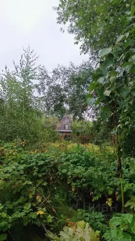 Участок в Московская область, Кашира городской округ, пос. Большое ... - Фото 1