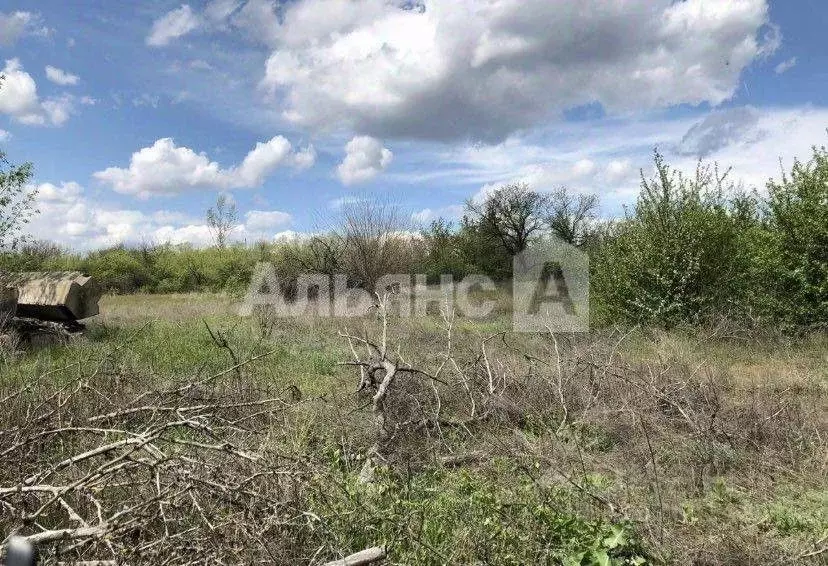 Участок в Ростовская область, Каменский район, Старостаничное с/пос, ... - Фото 1