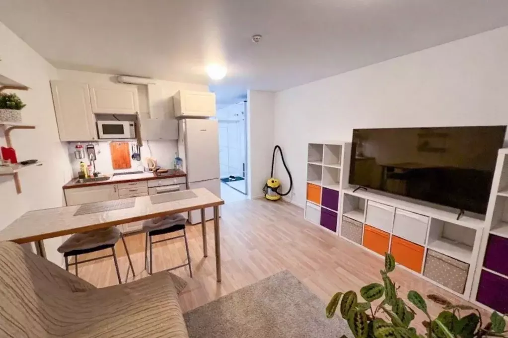 Студия Санкт-Петербург Дальневосточный просп., 33к1 (26.9 м) - Фото 2