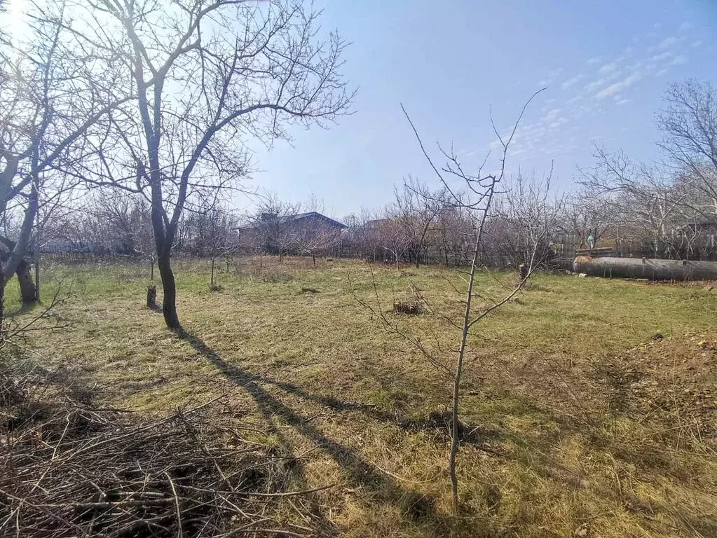 Участок в Новочеркасск, садовое товарищество Политехник (6 м) - Фото 0