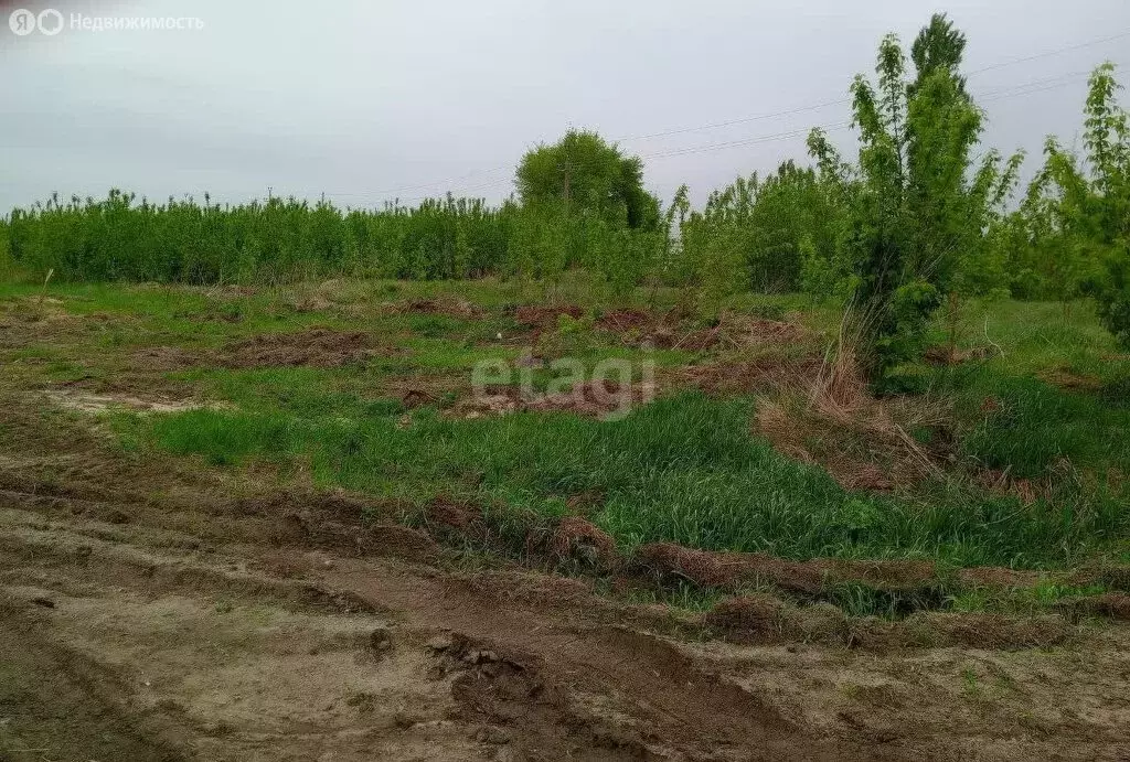 Участок в Воронеж, улица Полянка (13.43 м) - Фото 1