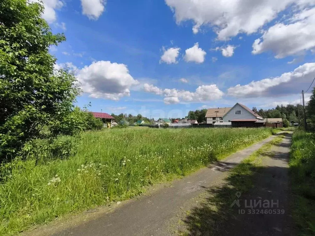 Участок в Ленинградская область, Приозерский район, Раздольевское ... - Фото 1