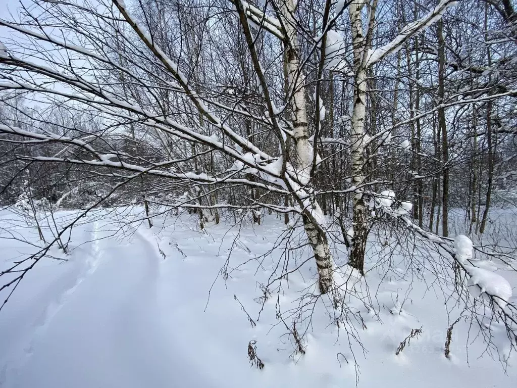 Участок в Московская область, Истра ул. Ленина, Река Истра (5.0 сот.) - Фото 2