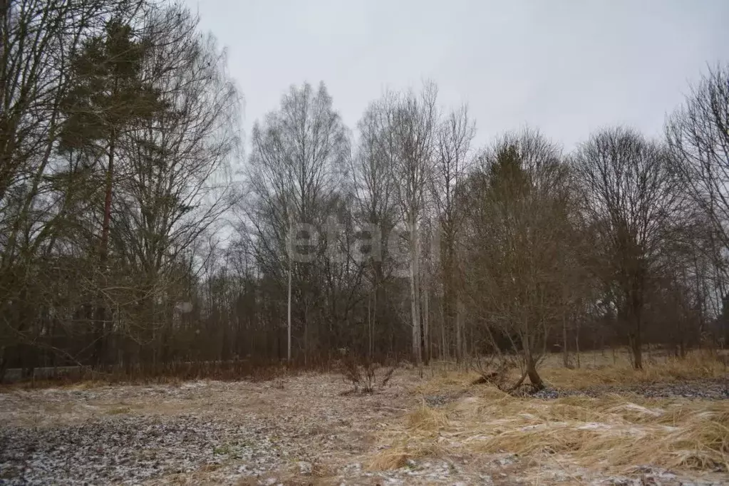 Участок в Псковская область, Порховский муниципальный округ, Медик СНТ ... - Фото 2