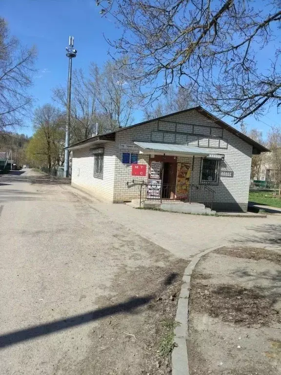 Помещение свободного назначения в Смоленская область, Смоленск пер. ... - Фото 1