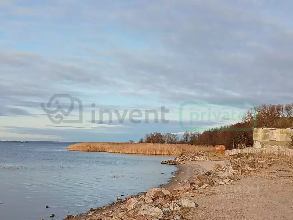 Участок в Калининградская область, Ладушкин Школьная ул. (8.0 сот.) - Фото 1