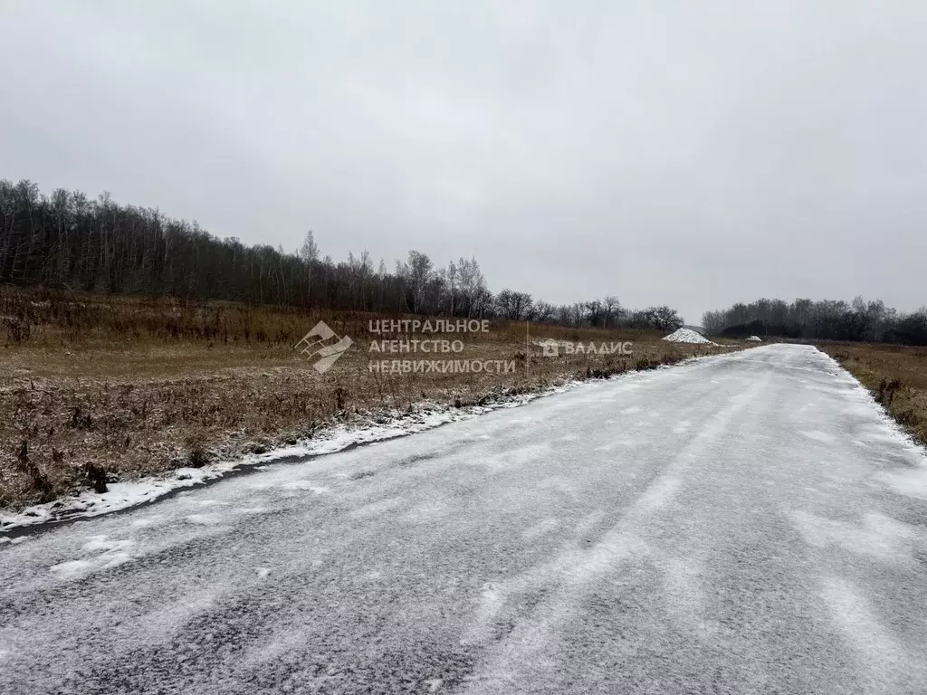 Участок в Рязанская область, Рыбновский муниципальный округ, с. ... - Фото 2