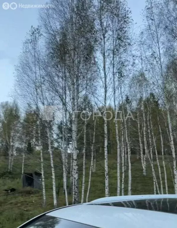Участок в Новолуговской сельсовет, СНТ Энергия-5, 246 (7 м) - Фото 0