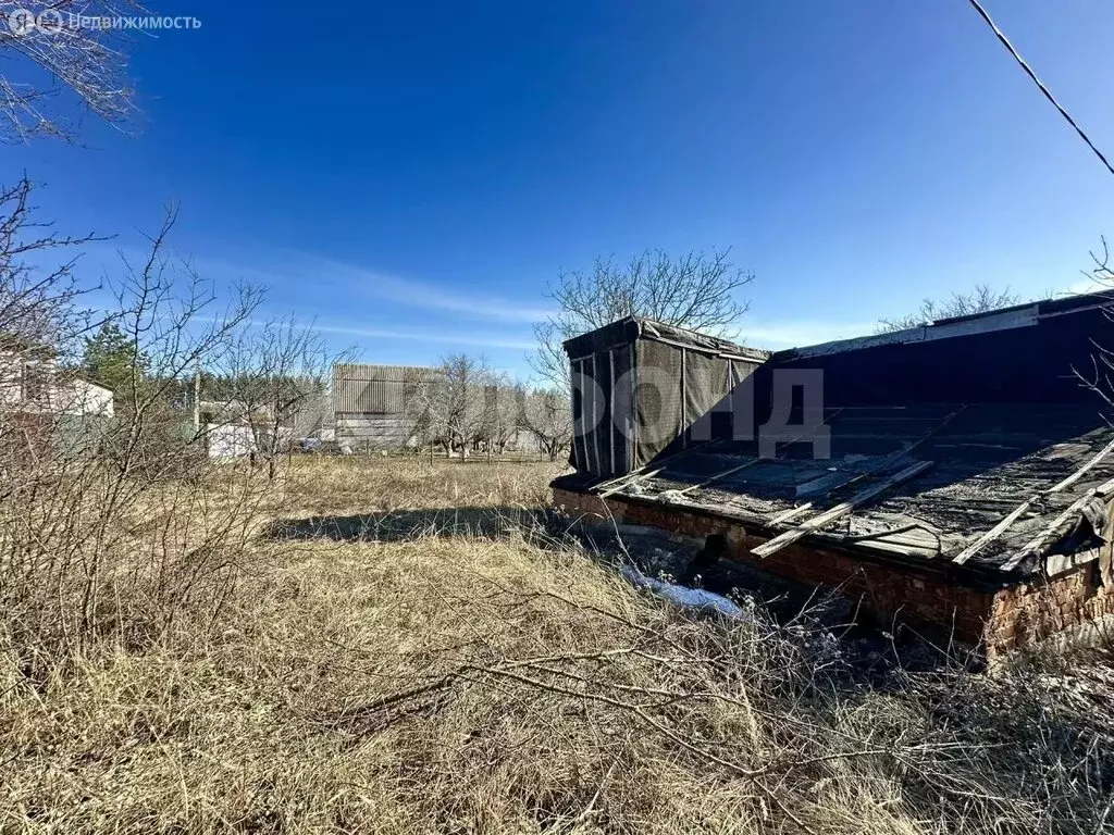 Участок в Рамонский район, Новоживотинновское сельское поселение, СНТ ... - Фото 1