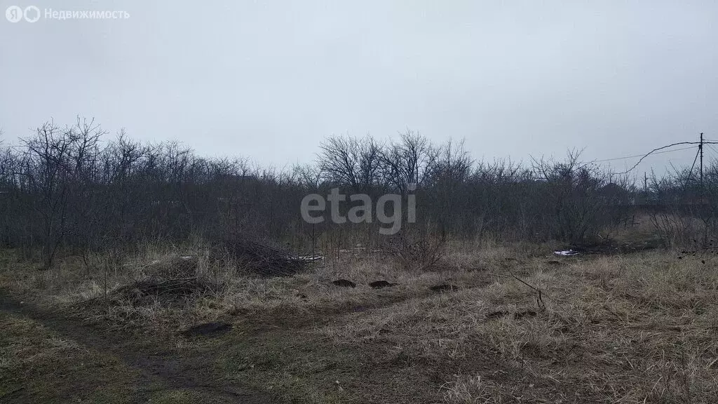 Участок в Кировское сельское поселение, садоводческое товарищество ... - Фото 0