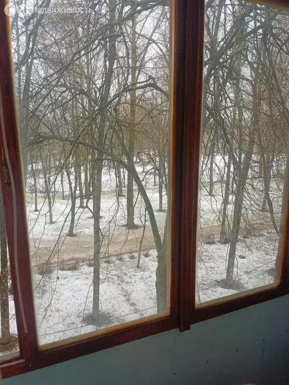 1-комнатная квартира: Железногорск, Курская улица, 25 (29.6 м) - Фото 2