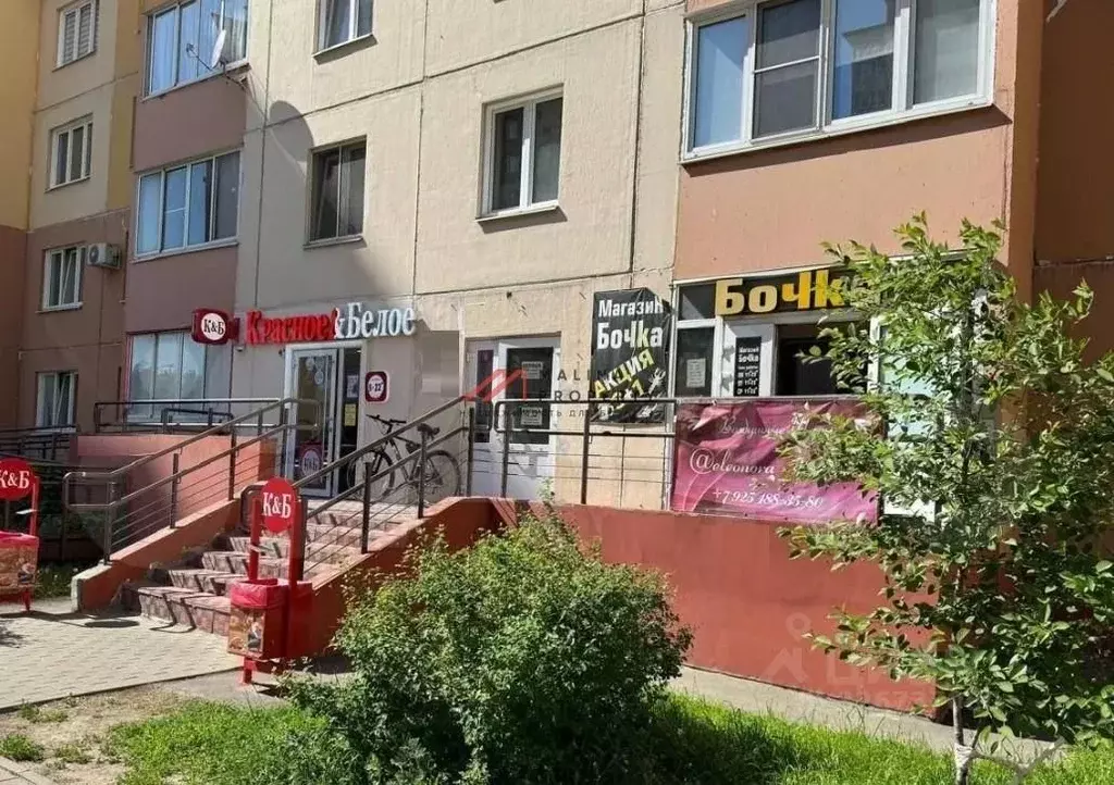 Торговая площадь в Московская область, Люберцы городской округ, д. ... - Фото 2