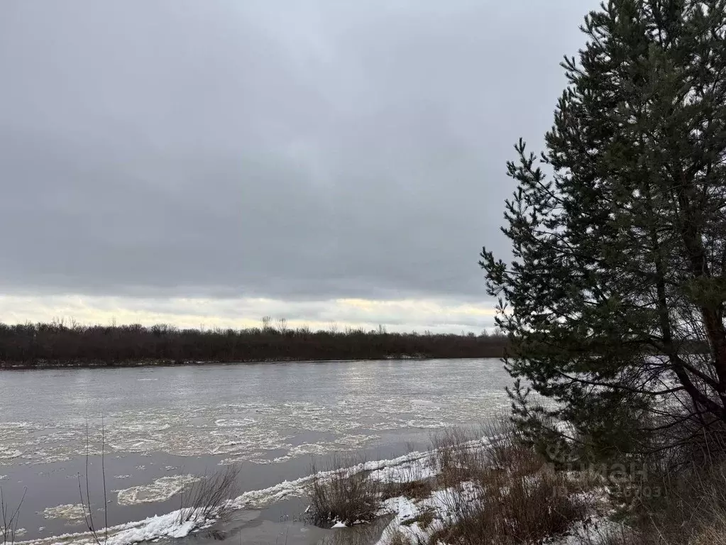 Участок в Кировская область, Юрьянский район, Гирсовское с/пос, ... - Фото 1