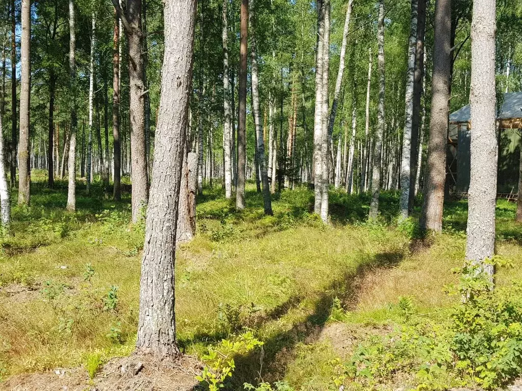 Купить Земельный Участок Выборгском Районе