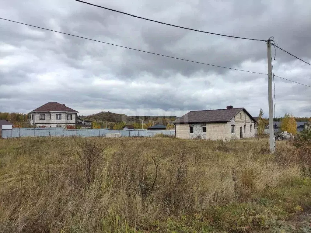 Дом в Липецкая область, Липецкий муниципальный округ, с. Большая ... - Фото 2
