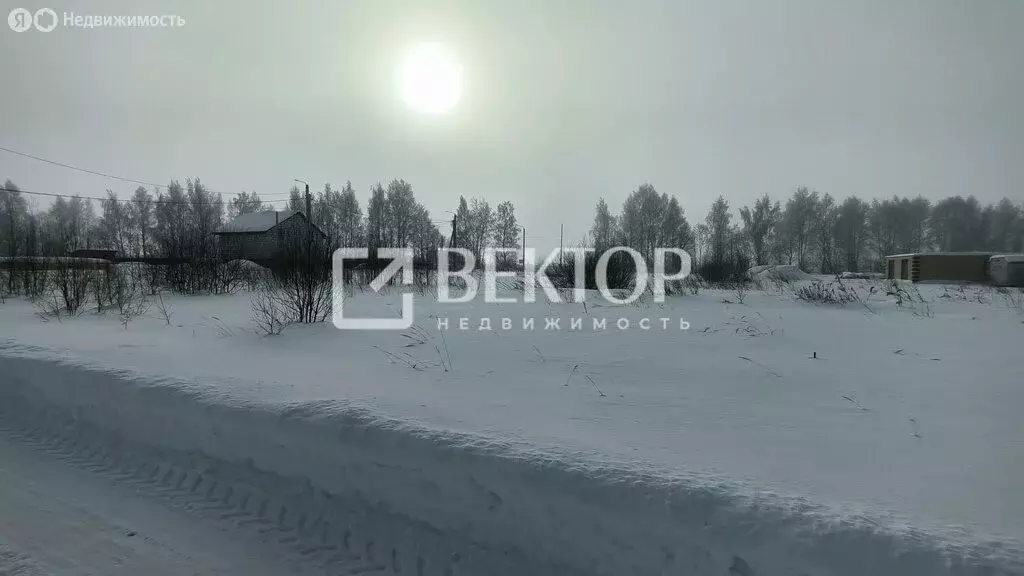 Участок в Кострома, коттеджный посёлок Первый, Камышинский проезд (8 ... - Фото 1