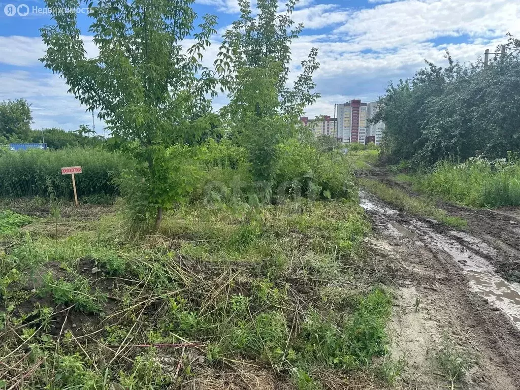 Участок в посёлок Путёвка, территория садоводческого общества Снежка ... - Фото 2