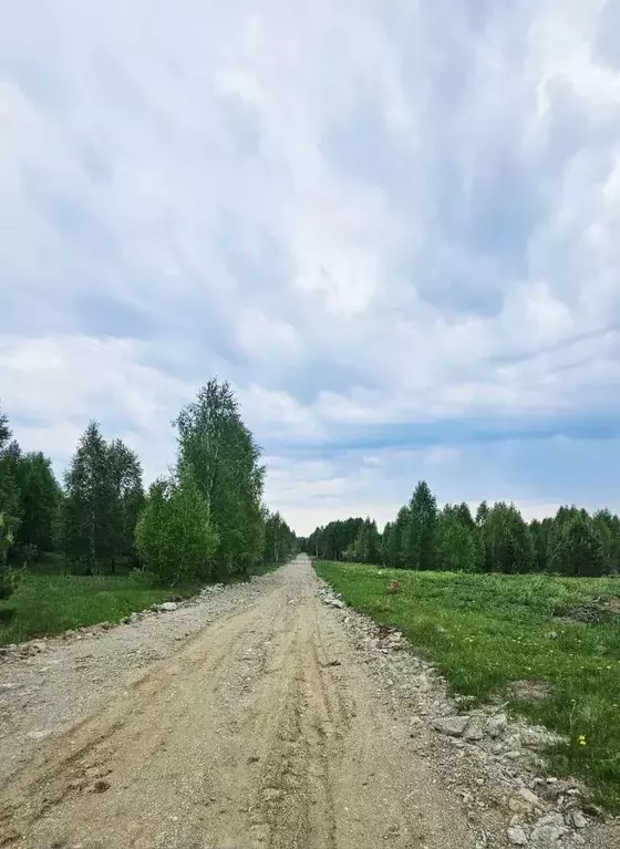 Участок в Челябинская область, Аргаяшский муниципальный округ, пос. ... - Фото 2