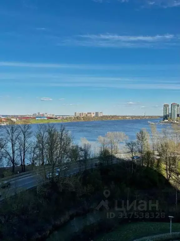 1-к кв. Санкт-Петербург просп. Обуховской обороны, 138к2 (25.0 м) - Фото 0