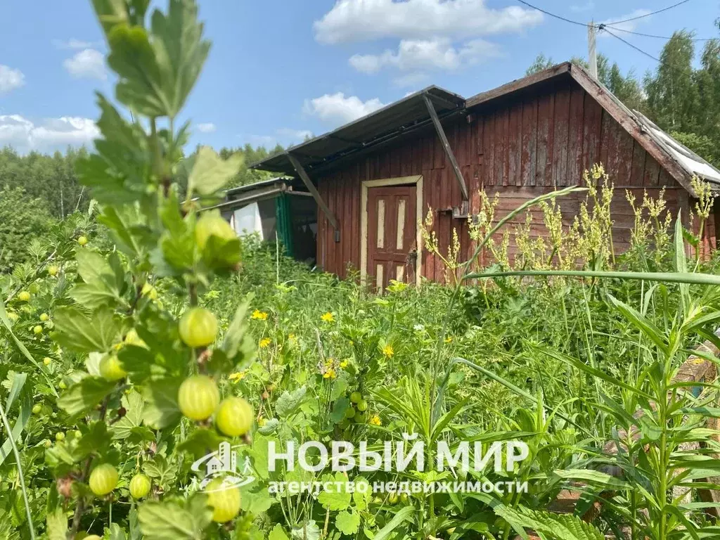 Дом в Нижегородская область, Бор Восход №2 СНТ, 64 (15 м) - Фото 0
