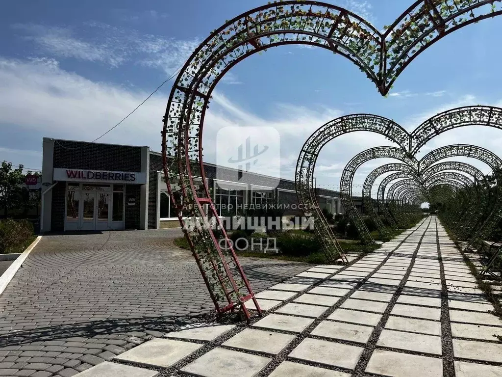 Участок в Саратовская область, Энгельсский район, Красноярское ... - Фото 1