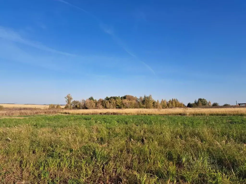 Участок в Московская область, Кашира городской округ, д. Никулино  ... - Фото 0