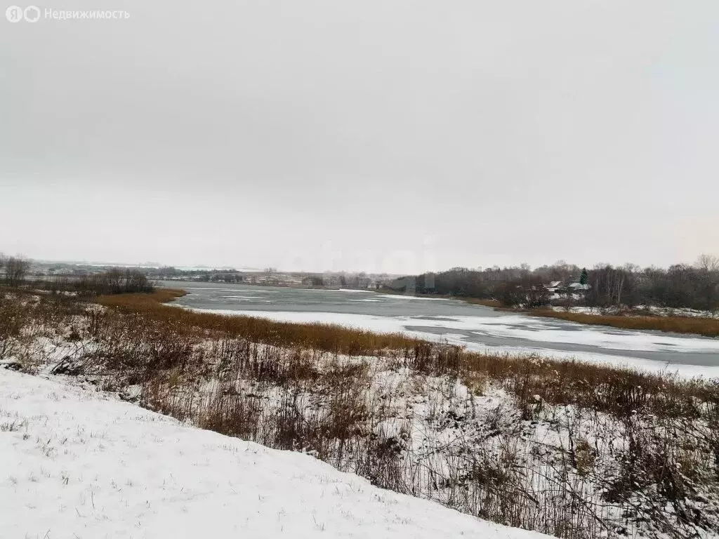 Участок в Тульская область, городской округ Новомосковск, село ... - Фото 1