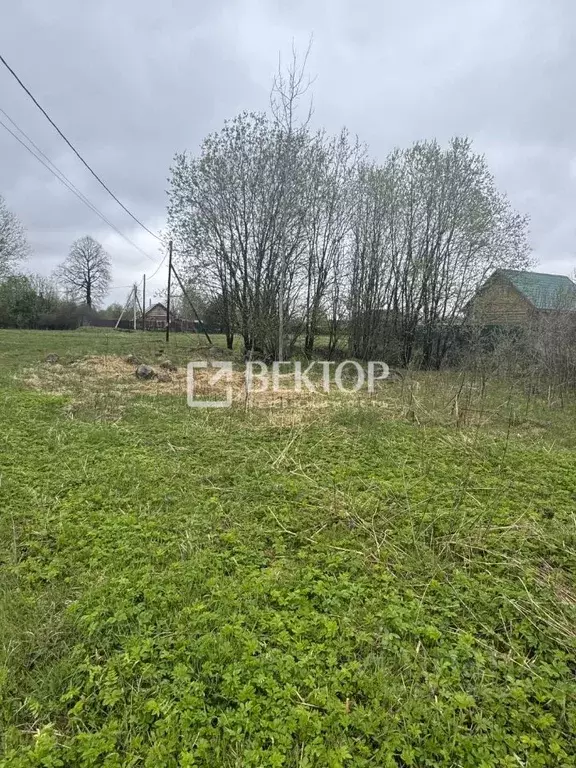 Участок в Костромская область, Костромской район, Самсоновское с/пос, ... - Фото 1