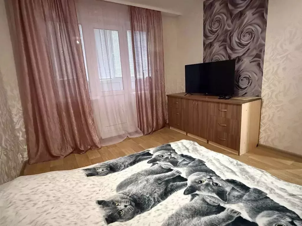 2-к кв. Нижегородская область, Дзержинск просп. Чкалова, 53А (42.0 м) - Фото 1