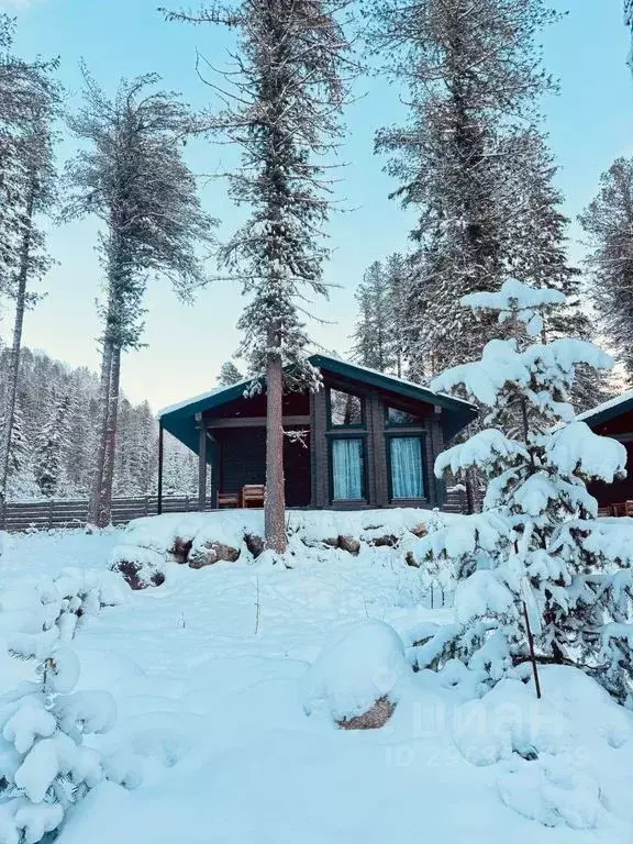 Дом в Алтай, Турочакский район, с. Артыбаш пер. Еловый, 11 (40 м) - Фото 1