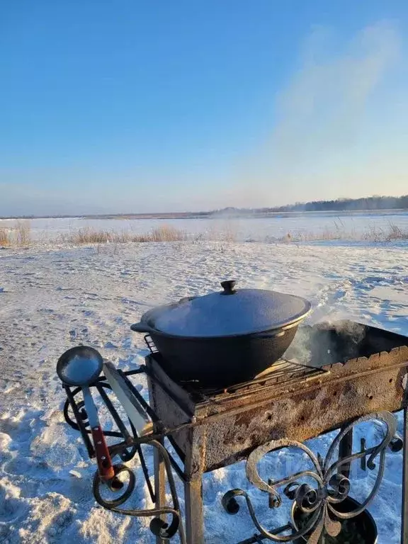 Дом в Алтайский край, Шелаболихинский район, с. Луговое Береговая ул., ... - Фото 2