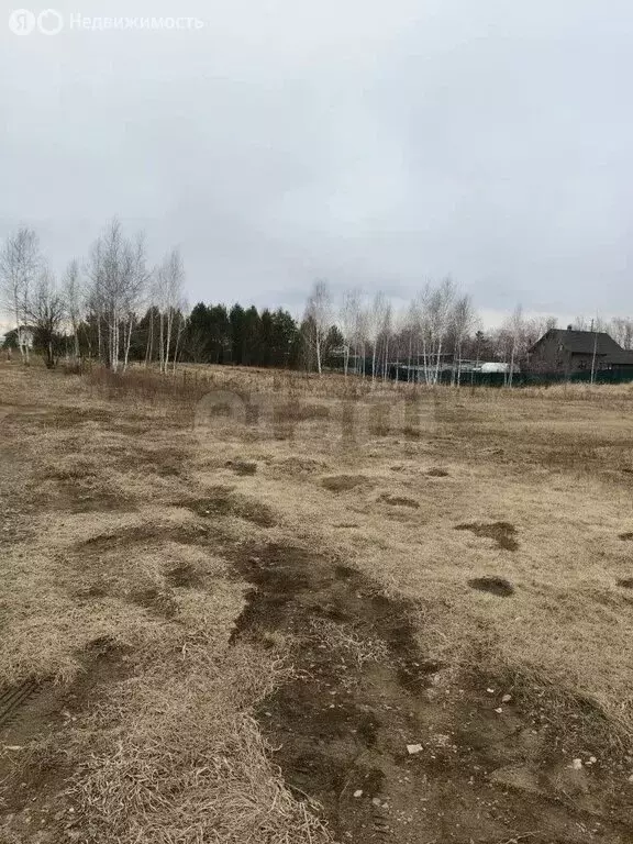 Участок в Красноярский край, Сосновоборский муниципальный округ, село ... - Фото 1