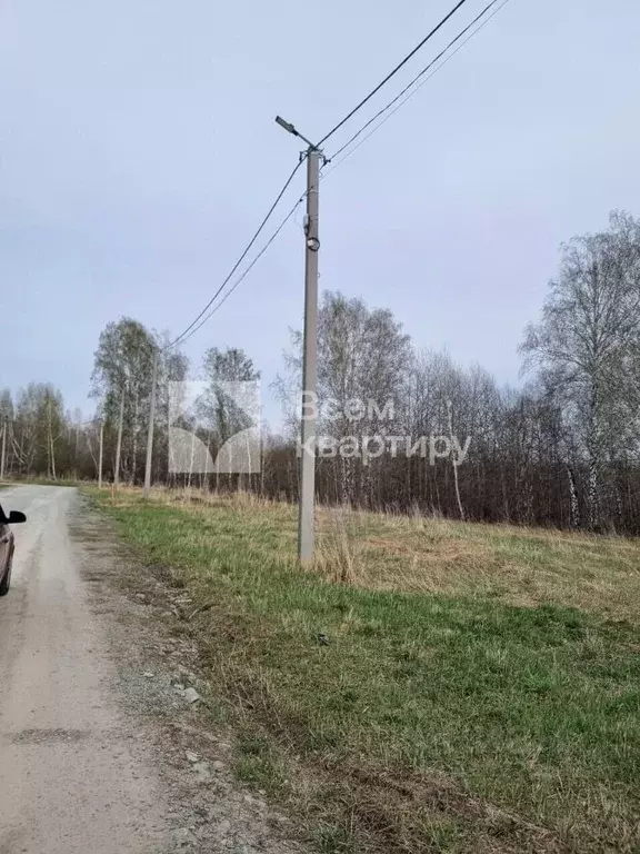 Участок в Новосибирская область, Новосибирский район, Каменский ... - Фото 1