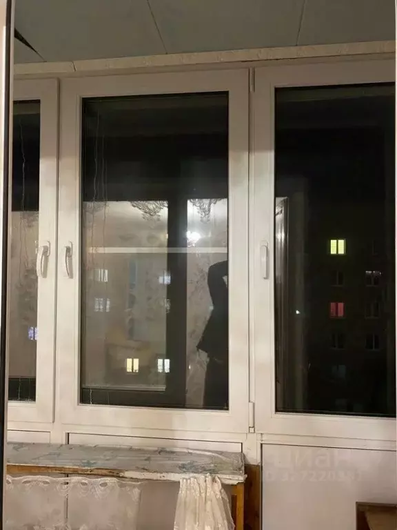 2-к кв. Нижегородская область, Бор Трудовая ул., 9 (47.5 м) - Фото 2