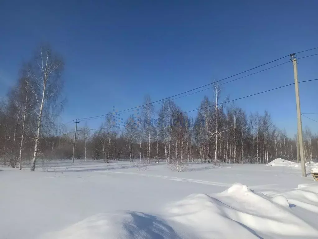 Участок в Нижегородская область, Балахнинский муниципальный округ, д. ... - Фото 1