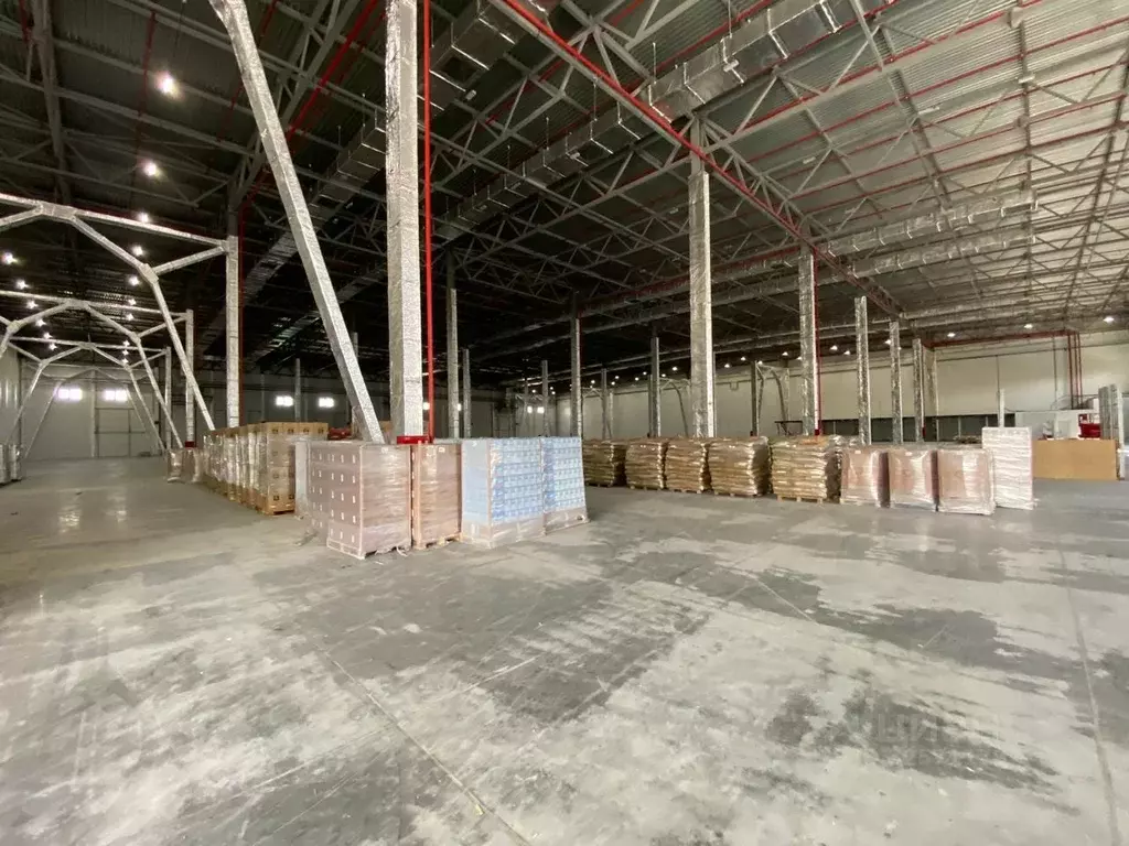 Склад в Краснодарский край, Краснодар городской округ, Октябрьский ... - Фото 2