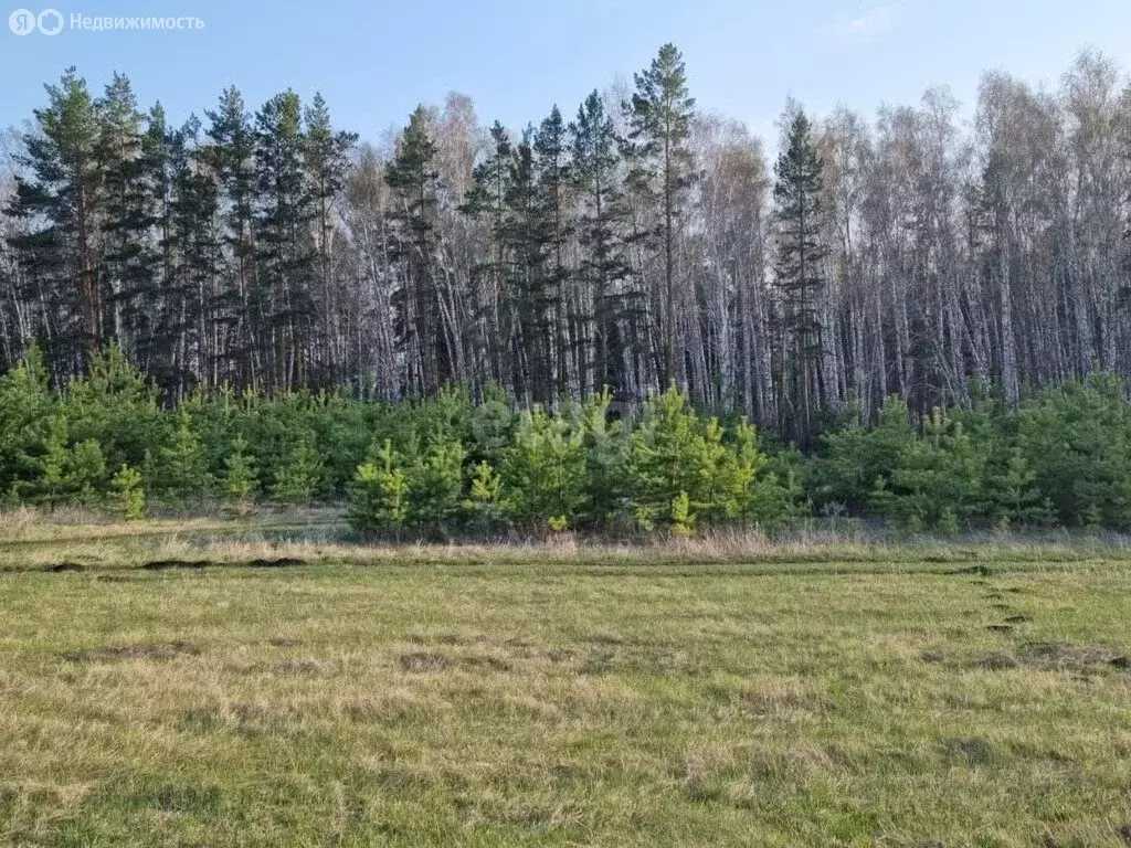 Участок в Сосновский район, Солнечное сельское поселение, посёлок ... - Фото 1