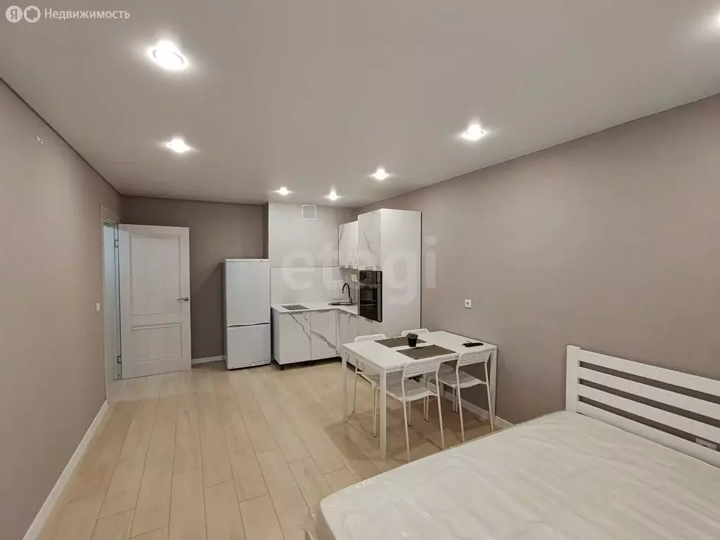 Квартира-студия: Краснодар, улица Героя А.А. Аверкиева, 13 (25.4 м) - Фото 2