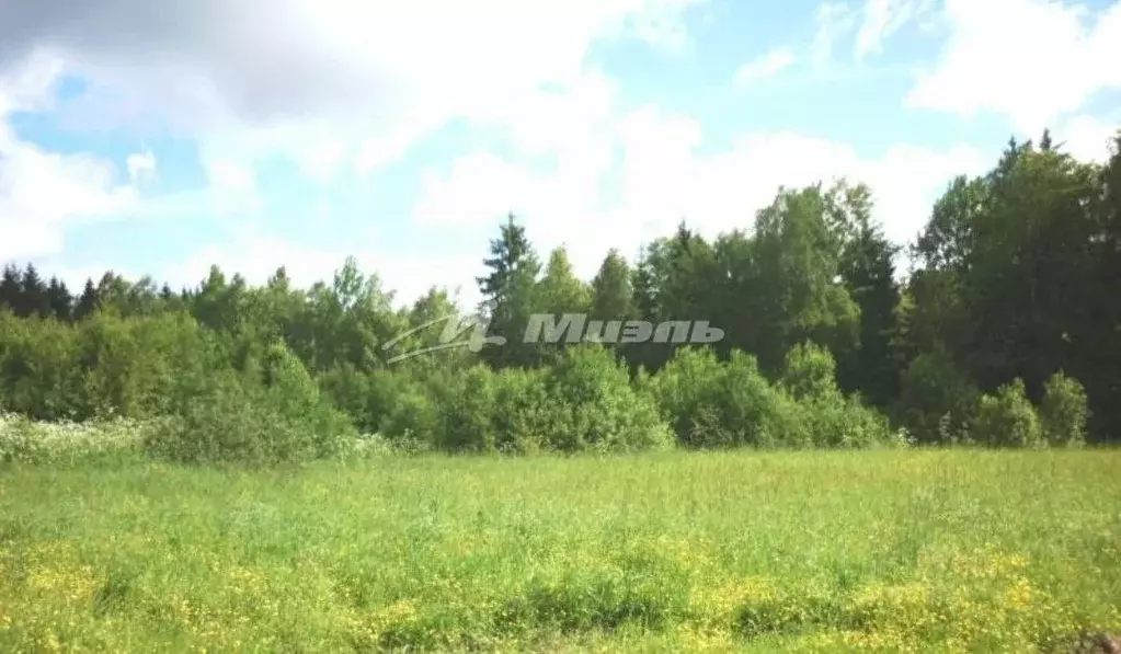 Участок в Крым, Симферопольский район, с. Урожайное ул. Таврическая ... - Фото 1